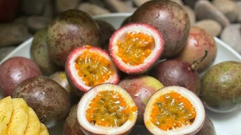 4 món giàu chất xơ cho người bệnh ung thư - Báo TinVina