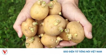 4 thực phẩm tưởng lành mạnh lại gây hại cho sức khỏe không phải ai cũng biết
