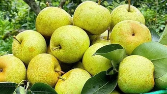4 việc nên làm thường xuyên giúp giảm nguy cơ đột quỵ - Báo TinVina