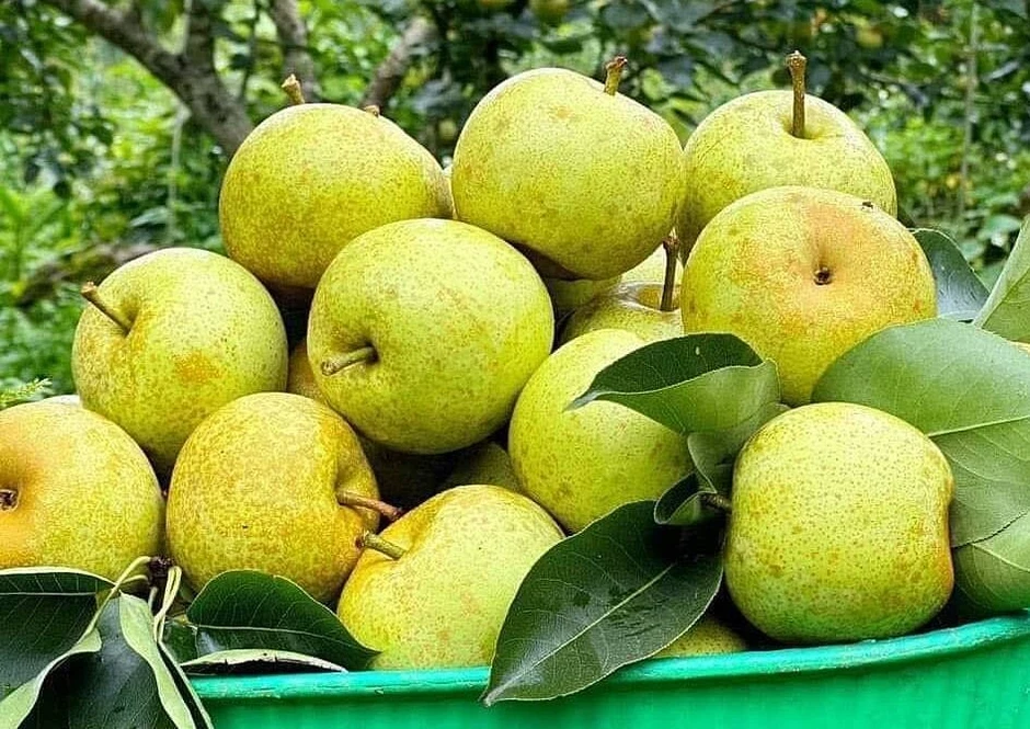 4 việc nên làm thường xuyên giúp giảm nguy cơ đột quỵ - Báo TinVina 4 việc nên làm thường xuyên giúp giảm nguy cơ đột quỵ - Báo TinVina