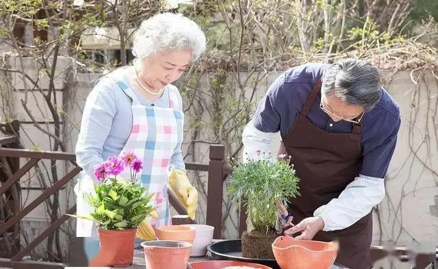 5 đặc điểm hay xuất hiện ở người sống thọ khỏe mạnh 5 đặc điểm hay xuất hiện ở người sống thọ khỏe mạnh