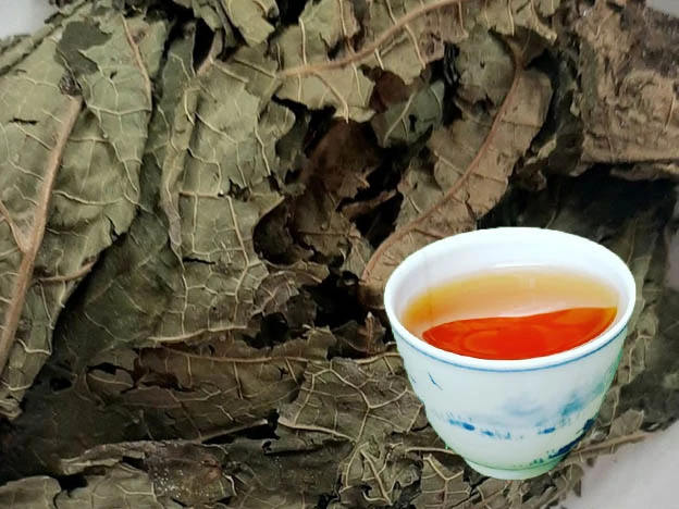 5 điều cần bỏ ngay khi uống lá đu đủ 5 điều cần bỏ ngay khi uống lá đu đủ