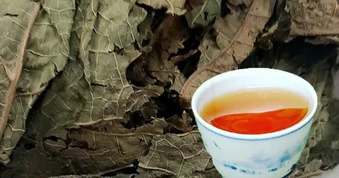 5 điều cần bỏ ngay khi uống lá đu đủ