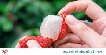 5 không khi ăn vải vào mùa hè ai cũng phải biết để tránh “mang họa vào thân”