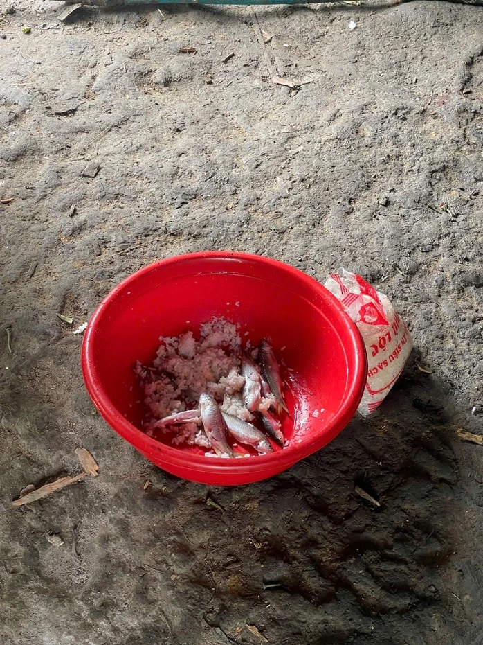5 lọ "thần dược" khoảng 1 tỉ đồng được WHO hỗ trợ đưa về Đà Nẵng cứu người 5 lọ "thần dược" khoảng 1 tỉ đồng được WHO hỗ trợ đưa về Đà Nẵng cứu người