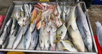5 loại cá ra chợ thấy phải mua ngay kẻo hết: Không thể nuôi nhân tạo, xương ít, thịt ngon, cực tốt cho sức khỏe