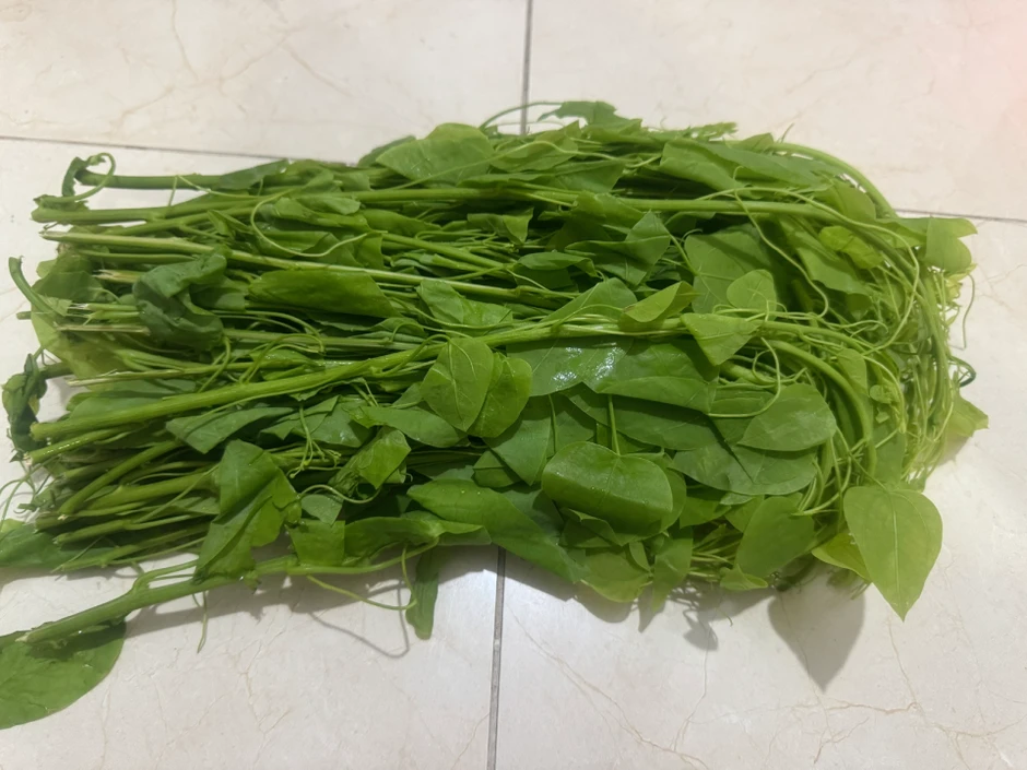 5 loại cây có tên lạ là vị thuốc nhiều tác dụng bất ngờ 5 loại cây có tên lạ là vị thuốc nhiều tác dụng bất ngờ