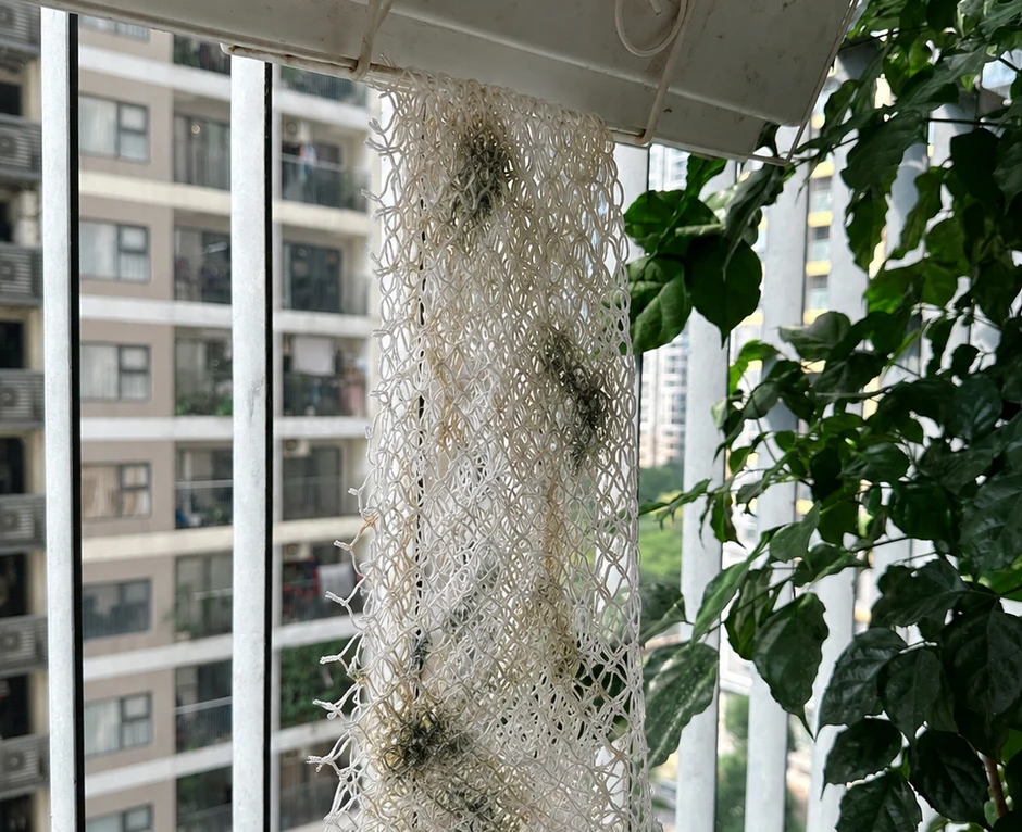5 loại lưới rửa bát tiếc mấy cũng nên vứt ngay vào sọt rác!