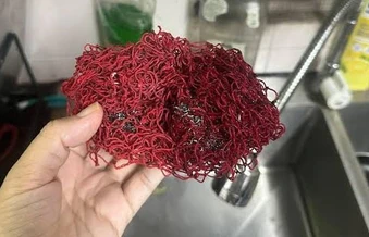 5 loại lưới rửa bát tiếc mấy cũng nên vứt ngay vào sọt rác!