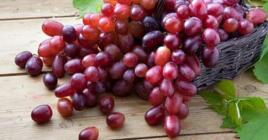 5 loại quả ngọt lịm giúp bổ thận, chống viêm: Có loại đang vào mùa, bán đầy chợ Việt nhưng nhiều người bỏ qua 5 loại quả ngọt lịm giúp bổ thận, chống viêm: Có loại đang vào mùa, bán đầy chợ Việt nhưng nhiều người bỏ qua