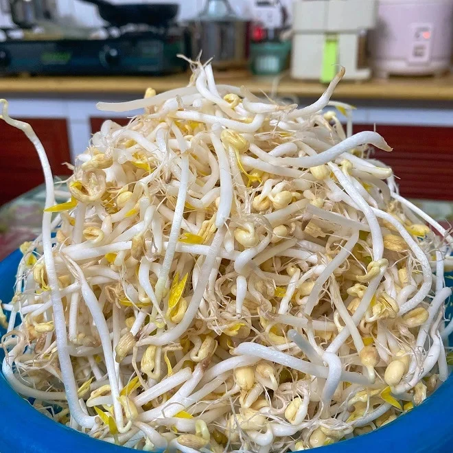 5 loại rau là "vua thải độc" trong thời tiết nắng nóng, 4 loại đầu chợ Việt chẳng bao giờ thiếu! 5 loại rau là "vua thải độc" trong thời tiết nắng nóng, 4 loại đầu chợ Việt chẳng bao giờ thiếu!