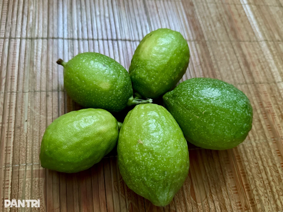 5 loại trái cây giàu vitamin C giúp hỗ trợ giảm axit uric 5 loại trái cây giàu vitamin C giúp hỗ trợ giảm axit uric