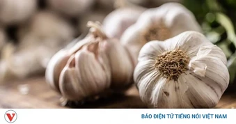 5 lý do nên ăn tỏi thường xuyên để bảo vệ gan và tim mạch