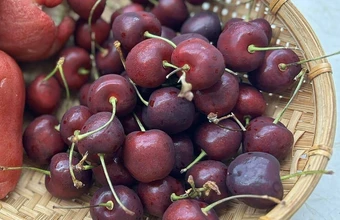 5 quả mọng tốt cho gan, dạ dày - Báo TinVina