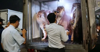 5 tháng phát hiện 80 con heo nhiễm dịch tả châu Phi, tiêu hủy 50.000kg thịt
