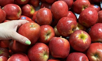 5 trái cây hỗ trợ phòng ngừa ung thư đại trực tràng - Báo TinVina