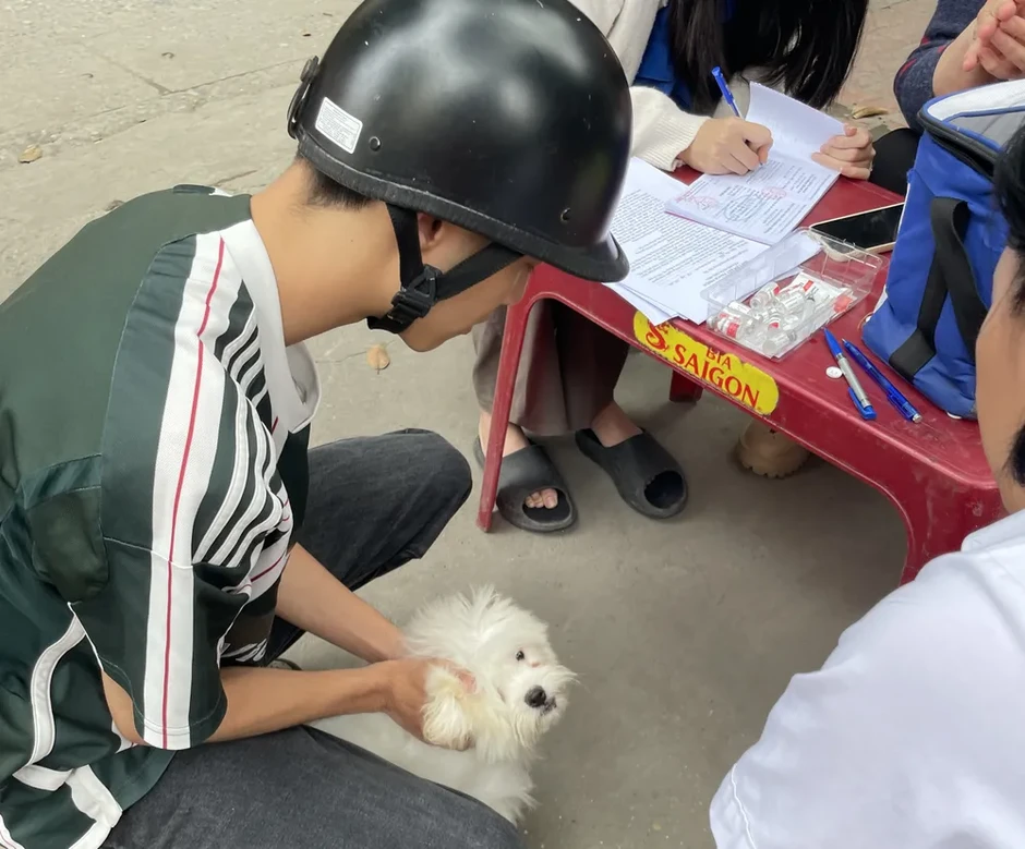 54 người tử vong do bệnh dại, cảnh báo nguy cơ từ chó mèo 54 người tử vong do bệnh dại, cảnh báo nguy cơ từ chó mèo