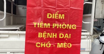 54 người tử vong do bệnh dại, cảnh báo nguy cơ từ chó mèo
