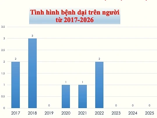 54 người tử vong vì bệnh dại từ đầu năm 54 người tử vong vì bệnh dại từ đầu năm