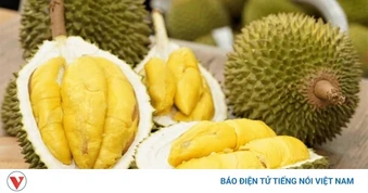 6 lợi ích sức khỏe của sầu riêng không phải ai cũng biết tận dụng