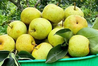 6 món giàu chất xơ không hòa tan giúp giảm táo bón - Báo TinVina