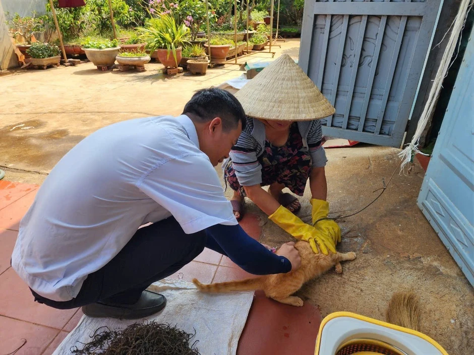 6 người trong cùng khu dân cư ở Đắk Lắk bị chó nghi dại cắn 6 người trong cùng khu dân cư ở Đắk Lắk bị chó nghi dại cắn