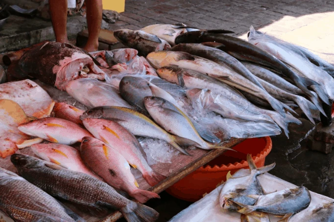 8 loại cá chứa nhiều thủy ngân