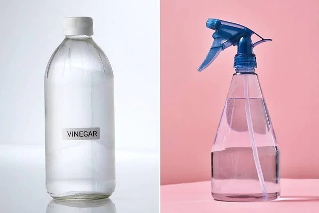 8 loại mùi được nhiều gia đình đặt quanh nhà để xua đuổi rắn 8 loại mùi được nhiều gia đình đặt quanh nhà để xua đuổi rắn