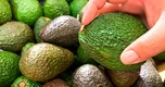 8 món ăn giúp giảm mỡ nội tạng chỉ sau 30 ngày, đang bán đầy chợ Việt
