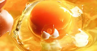 Ăn 2 quả trứng mỗi ngày vẫn có thể giảm cholesterol xấu, nhưng cần nhớ 1 điều