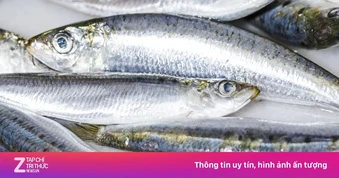 Ăn bao nhiêu cá mỗi tuần là đủ?
