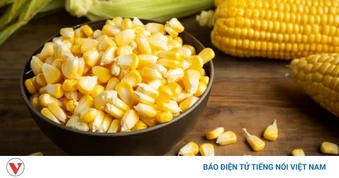 Ăn bắp mỗi ngày: Tốt hay hại? Sự thật không phải ai cũng biết