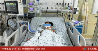 Ăn chuột đồng, 3 chị em ngộ độc thuốc diệt chuột