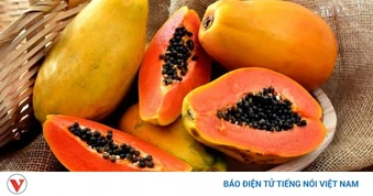 Ăn đu đủ giúp tăng tiểu cầu? Không phải ai cũng biết sự thật này