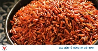 Ăn gạo lứt đỏ mỗi ngày mang lại lợi ích gì cho sức khỏe?