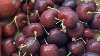 Ăn gì tốt cho gan? - Báo TinVina