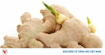 Ăn gừng mọc mầm - Những cảnh báo ít ai biết