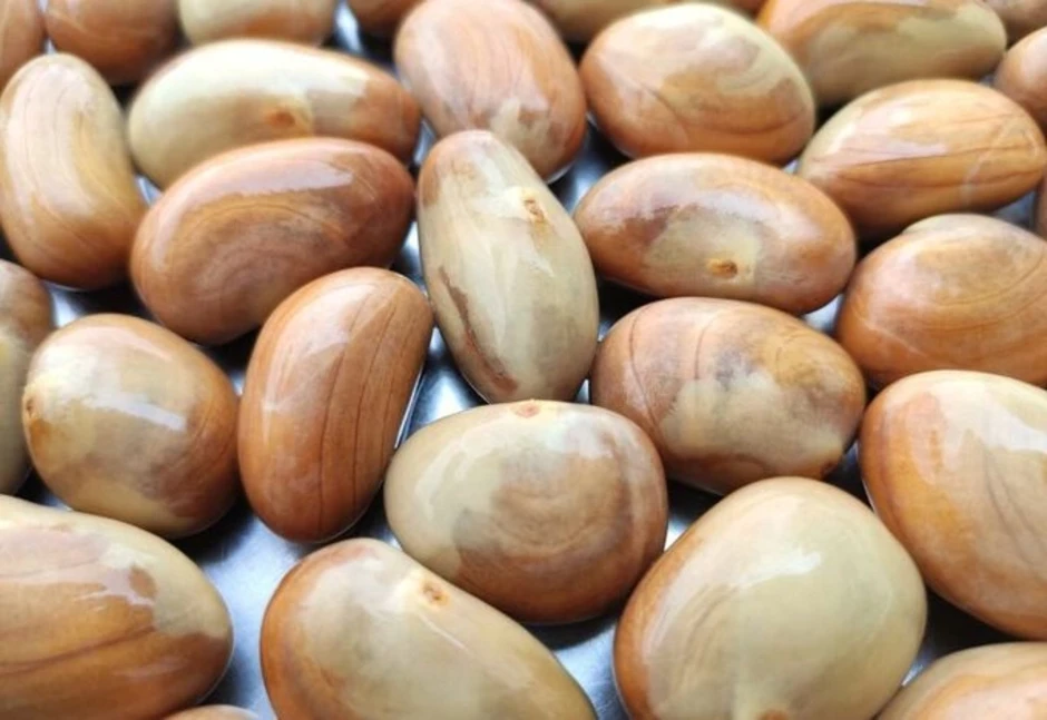 Ăn hạt mít gây bốc hỏa? Ăn hạt mít gây bốc hỏa?