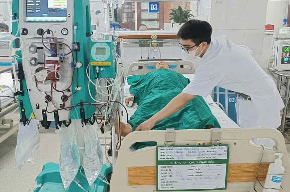 Ăn mật cá trắm bồi bổ, người đàn ông suy đa tạng phải lọc máu Ăn mật cá trắm bồi bổ, người đàn ông suy đa tạng phải lọc máu