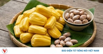 Ăn mít đừng vứt bỏ phần này, giúp bảo vệ tim mạch lại dưỡng xương khớp và não bộ