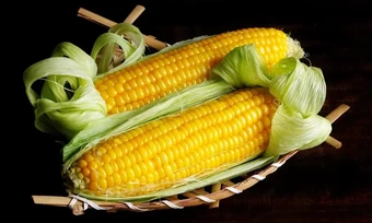 Ăn ngô thay cơm được không?