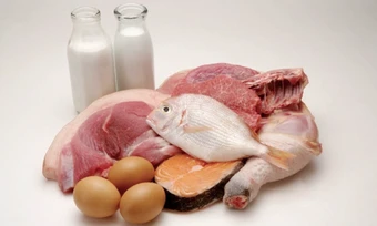 Ăn nhiều protein có gây hại thận?