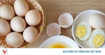 Ăn nhiều trứng gà có “hại gan”? Sự thật và cách ăn đúng