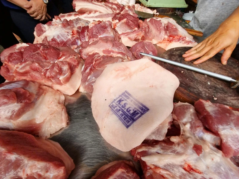 Ăn phải thịt lợn nhiễm bệnh ảnh hưởng thế nào tới sức khỏe? Ăn phải thịt lợn nhiễm bệnh ảnh hưởng thế nào tới sức khỏe?