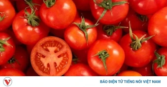 Ăn quá nhiều cà chua có khiến da ngả vàng?