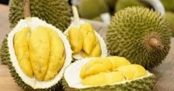 Ăn sầu riêng cùng rượu, người phụ nữ suy hô hấp nguy hiểm
