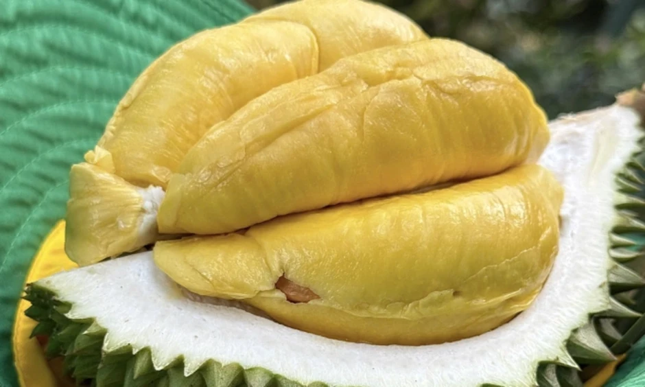 Ăn sầu riêng thế nào không gây tăng cân, ảnh hưởng đường huyết? Ăn sầu riêng thế nào không gây tăng cân, ảnh hưởng đường huyết?