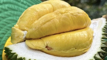 Ăn sầu riêng thế nào không gây tăng cân, ảnh hưởng đường huyết?