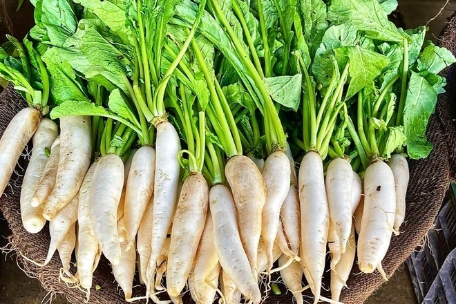 Ăn sống thải độc, nấu chín tốt cho phổi, hầm kỹ bổ dạ dày: Loại củ được ví như "nhân sâm trắng" của người Việt Ăn sống thải độc, nấu chín tốt cho phổi, hầm kỹ bổ dạ dày: Loại củ được ví như "nhân sâm trắng" của người Việt