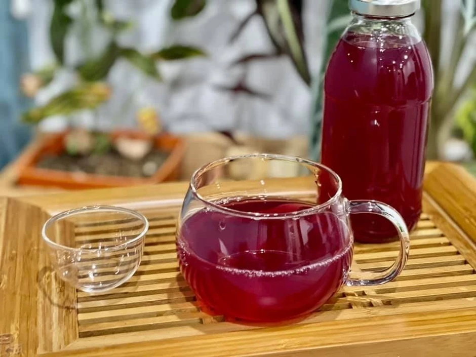 Ăn tía tô hay uống nước tía tô tốt hơn? Điểm khác biệt để biết cách nào phù hợp hơn với bạn Ăn tía tô hay uống nước tía tô tốt hơn? Điểm khác biệt để biết cách nào phù hợp hơn với bạn
